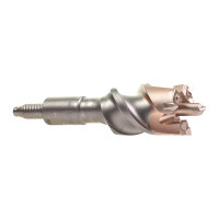 SDS-Max - SDS-Max hartmetallbestückte...