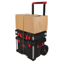 PACKOUT - PACKOUT™ Trolley Koffer