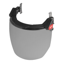 BOLT™ Komplettvisier Universal grau