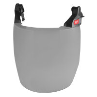 BOLT™ Komplettvisier Compact grau